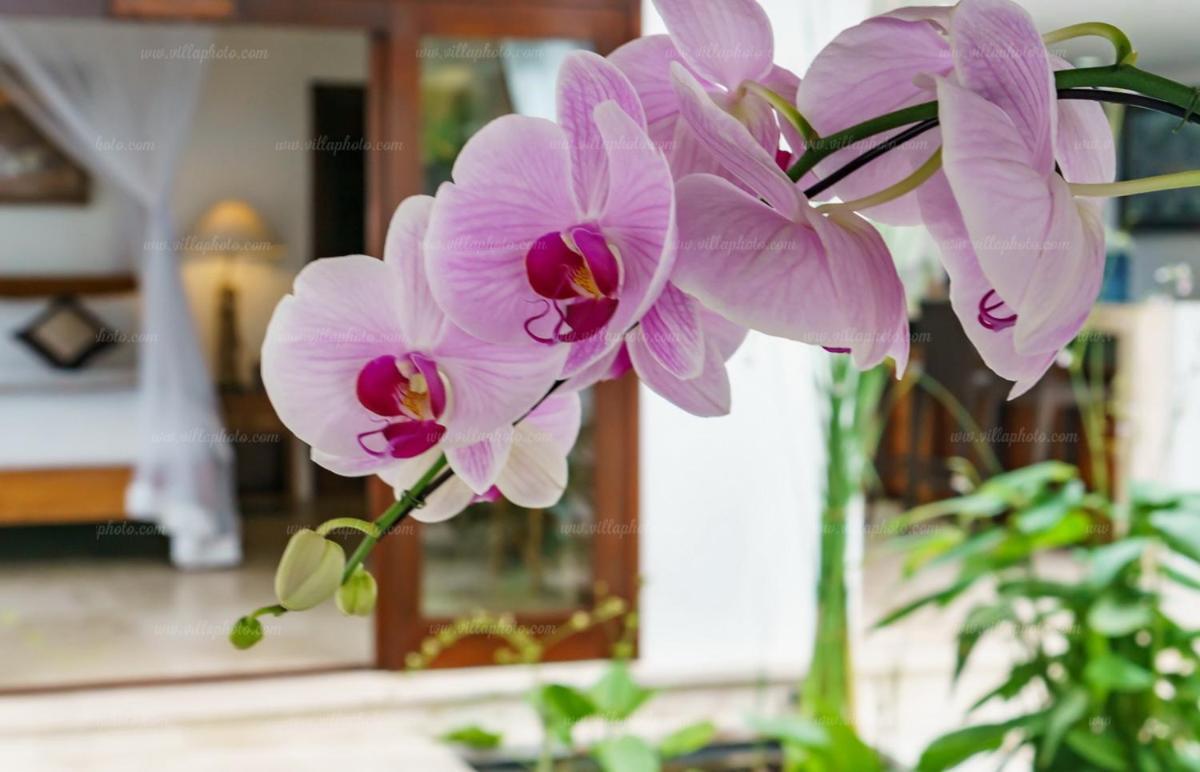 Villa Gita Candidasa Esterno foto